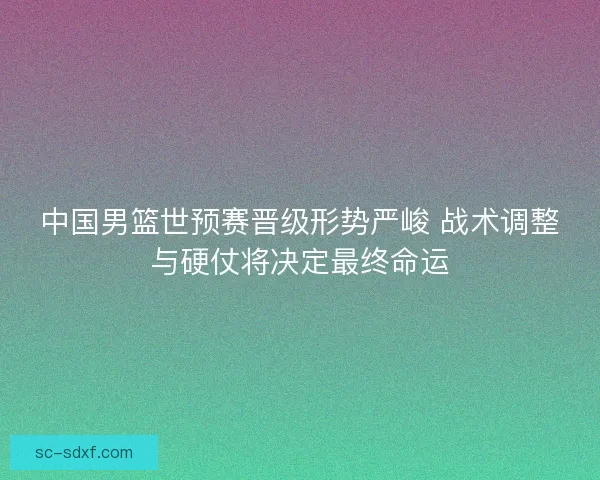 中国男篮世预赛晋级形势严峻 战术调整与硬仗将决定最终命运